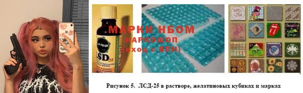 хмурый Белокуриха