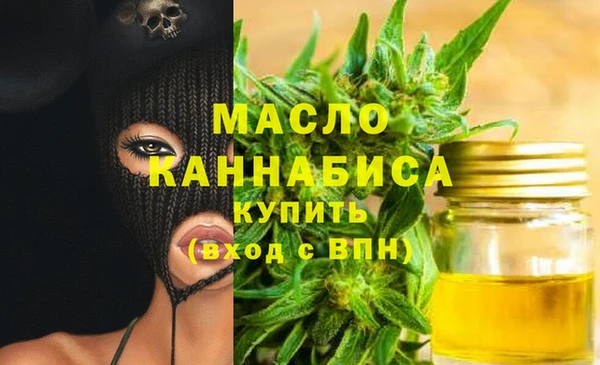 прущий лед Богданович