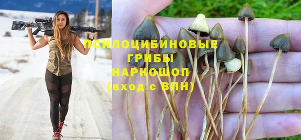 крисы Беломорск