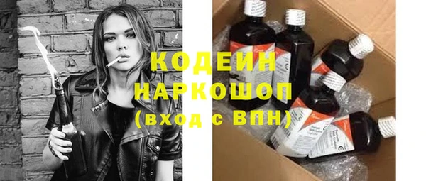 прущий лед Богданович