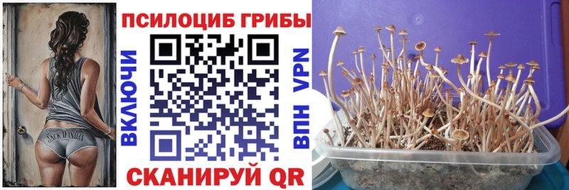 Галлюциногенные грибы Magic Shrooms  купить наркотики сайты  Верещагино 